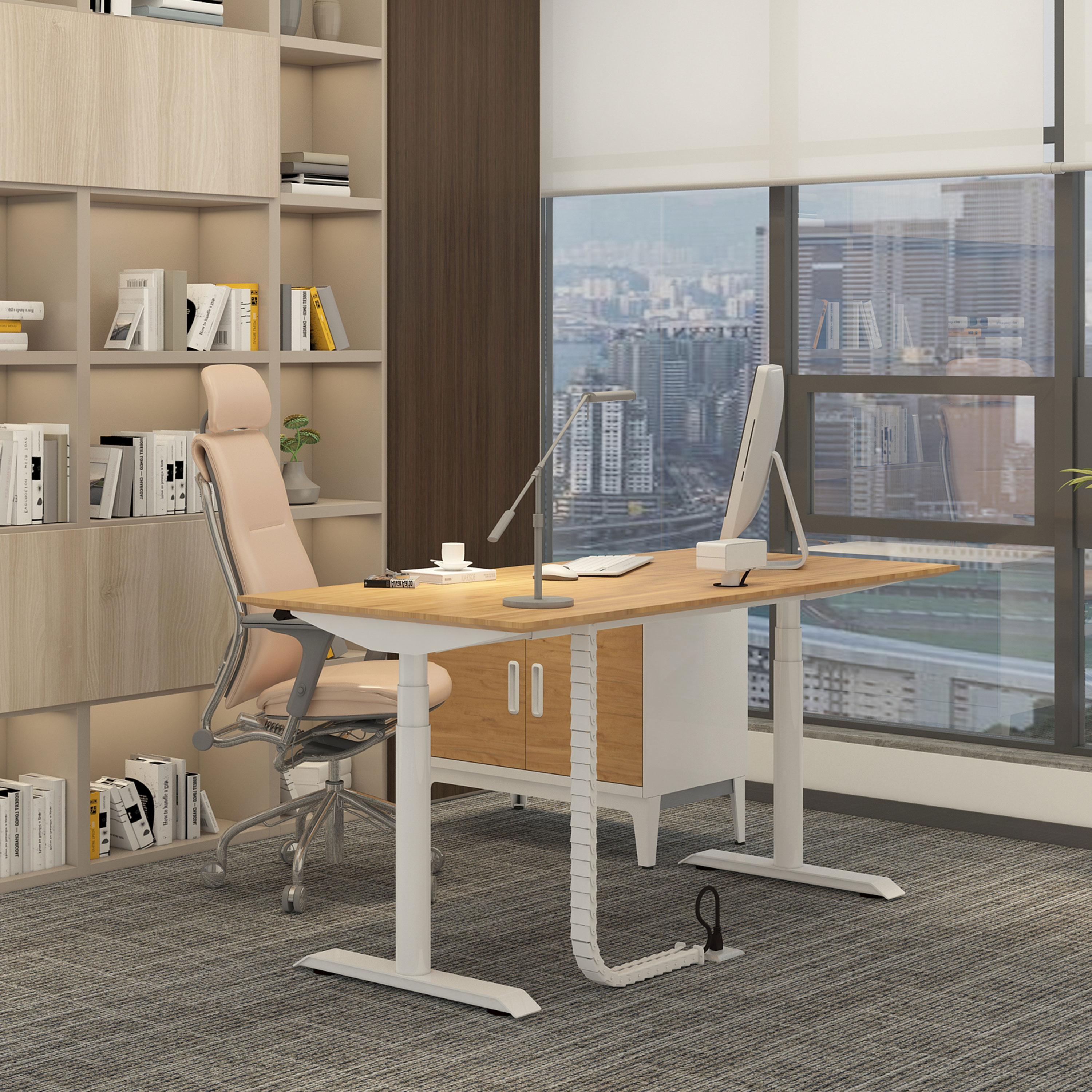 OMNI Space Efficient Height Ad - Desk Setup Workspace review and price